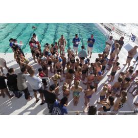 Icecubes Opening Day 2019