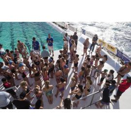 Icecubes Opening Day 2019