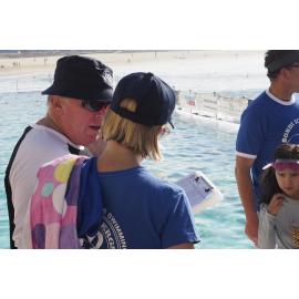 Icecubes Opening Day 2019