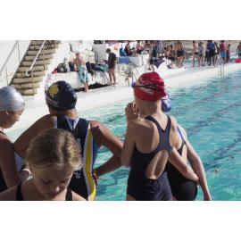 Icecubes Opening Day 2019