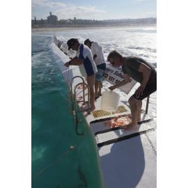 Icecubes Opening Day 2019