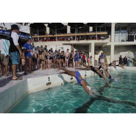 Icecubes Opening Day 2019