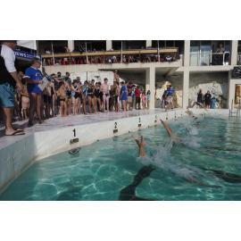 Icecubes Opening Day 2019