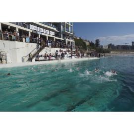 Icecubes Opening Day 2019