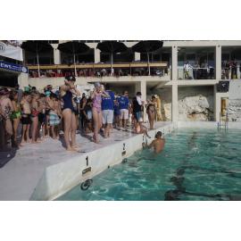 Icecubes Opening Day 2019