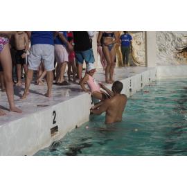 Icecubes Opening Day 2019