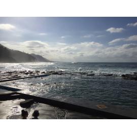 Away Swims Ladies 2019