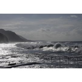 Away Swims ladies 2019