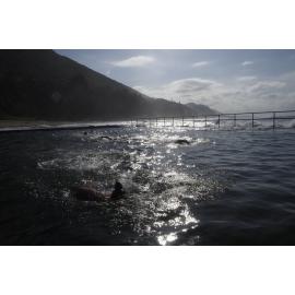 Away Swims ladies 2019