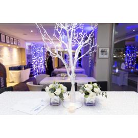 Icebergs90thBday_200719_YMund-336