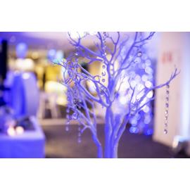 Icebergs90thBday_200719_YMund-324