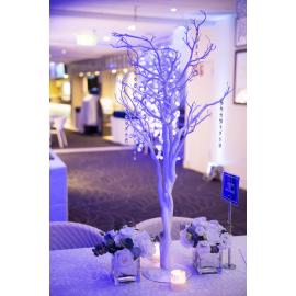 Icebergs90thBday_200719_YMund-325